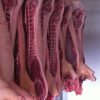Buy Chilled Frozen Pork Half Carcass online