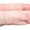 Buy Frozen Pork feet front and hind online