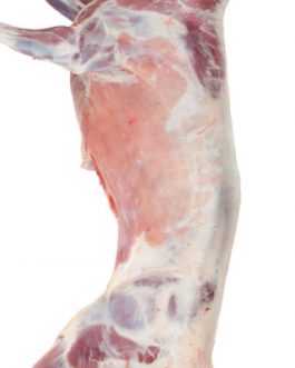 Buy Halal Fresh Frozen Goat meat carcass online